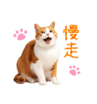 気持ちを伝える♡かわいい茶白猫（台湾版）（個別スタンプ：9）