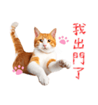 気持ちを伝える♡かわいい茶白猫（台湾版）（個別スタンプ：10）
