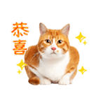 気持ちを伝える♡かわいい茶白猫（台湾版）（個別スタンプ：17）