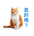 気持ちを伝える♡かわいい茶白猫（台湾版）（個別スタンプ：21）