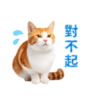 気持ちを伝える♡かわいい茶白猫（台湾版）（個別スタンプ：22）