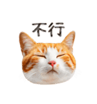 気持ちを伝える♡かわいい茶白猫（台湾版）（個別スタンプ：23）