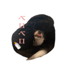 Lucky✴︎everyday（個別スタンプ：5）