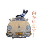 Lucky✴︎everyday（個別スタンプ：11）
