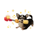Lucky✴︎everyday（個別スタンプ：18）