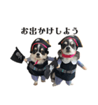 Lucky✴︎everyday（個別スタンプ：20）