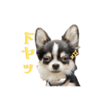 Lucky✴︎everyday（個別スタンプ：23）