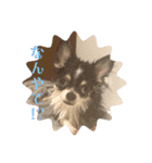 Lucky✴︎everyday（個別スタンプ：28）