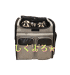 Lucky✴︎everyday（個別スタンプ：30）