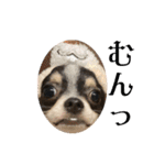 Lucky✴︎everyday（個別スタンプ：31）