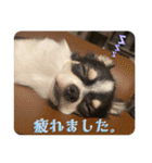 Lucky✴︎everyday（個別スタンプ：32）