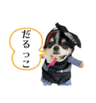 Lucky✴︎everyday（個別スタンプ：33）