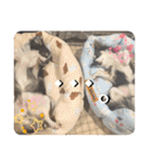 Lucky✴︎everyday（個別スタンプ：34）