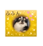 Lucky✴︎everyday（個別スタンプ：37）