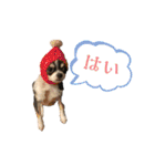 Lucky✴︎everyday（個別スタンプ：38）