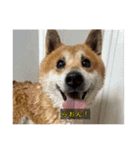 らおん②（個別スタンプ：1）