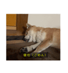 らおん②（個別スタンプ：9）