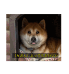 らおん②（個別スタンプ：12）