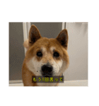 らおん②（個別スタンプ：13）