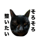 黒猫じゅんじ2（個別スタンプ：1）