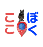 黒猫じゅんじ2（個別スタンプ：2）