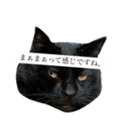 黒猫じゅんじ2（個別スタンプ：6）