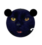 黒猫じゅんじ2（個別スタンプ：13）