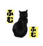 黒猫じゅんじ2（個別スタンプ：20）