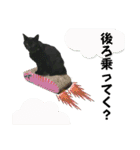 黒猫じゅんじ2（個別スタンプ：28）
