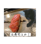 黒猫じゅんじ2（個別スタンプ：33）