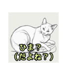 かわいい猫がたくさんのスタンプ（個別スタンプ：17）