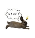 ムッピー！（個別スタンプ：1）