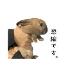 ムッピー！（個別スタンプ：4）