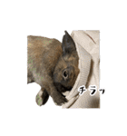ムッピー！（個別スタンプ：13）
