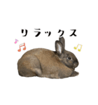 ムッピー！（個別スタンプ：14）
