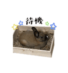 ムッピー！（個別スタンプ：16）