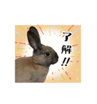 ムッピー！（個別スタンプ：19）