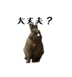 ムッピー！（個別スタンプ：29）