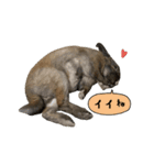 ムッピー！（個別スタンプ：30）