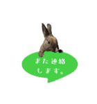 ムッピー！（個別スタンプ：31）