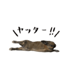 ムッピー！（個別スタンプ：34）