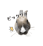 ムッピー！（個別スタンプ：38）