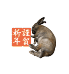 ムッピー！（個別スタンプ：40）