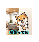 柴犬もふもふほっこり毎日使える挨拶2（個別スタンプ：26）