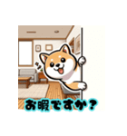 柴犬もふもふほっこり毎日使える挨拶2（個別スタンプ：36）