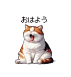 ドット絵 太っちょ三毛猫 日常会話（個別スタンプ：1）