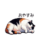 ドット絵 太っちょ三毛猫 日常会話（個別スタンプ：2）