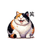 ドット絵 太っちょ三毛猫 日常会話（個別スタンプ：8）