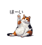 ドット絵 太っちょ三毛猫 日常会話（個別スタンプ：9）