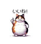 ドット絵 太っちょ三毛猫 日常会話（個別スタンプ：11）